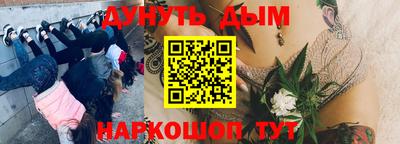 гашик Вязьма