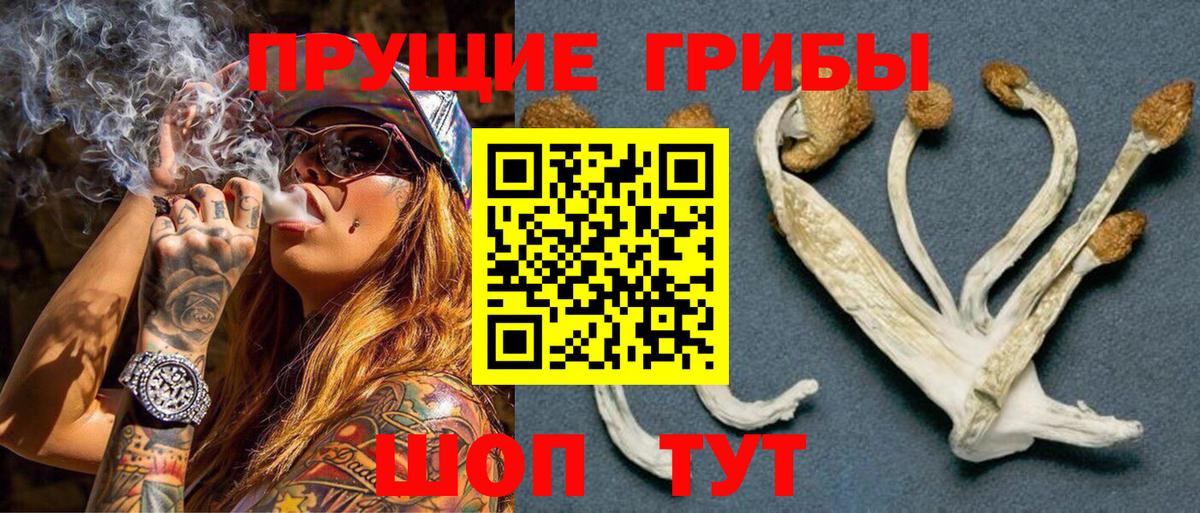 Магадан  Галлюциногенные грибы прущие грибы  Вход с VPN  Галлюциногенные грибы MAGIC MUSHROOMS 