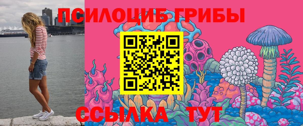 Галлюциногенные грибы Cubensis Магадан